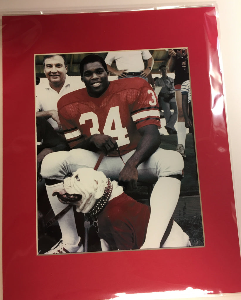 Georgia Bulldogs Autographed Herschel Walker 1981 UGA Football Photo in  2023